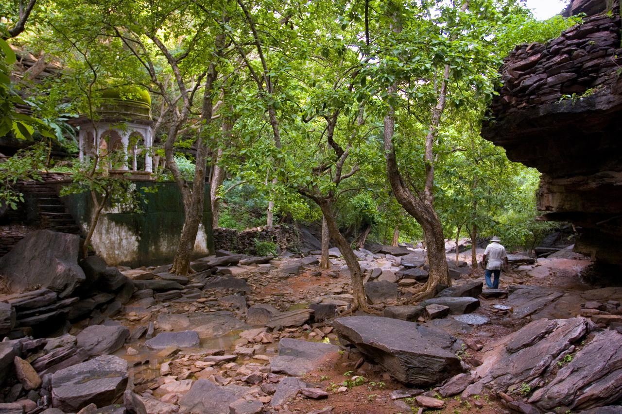מלון Sapotra Ramathra Fort מראה חיצוני תמונה